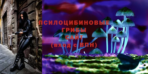 гидропоника Балабаново